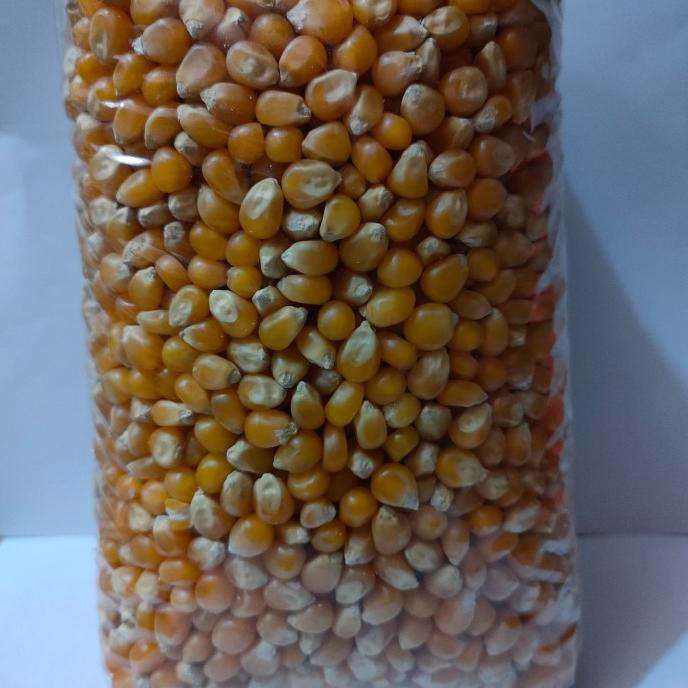 

PROMO jagung popcorn jumbo mushroom 1 kg MURAH