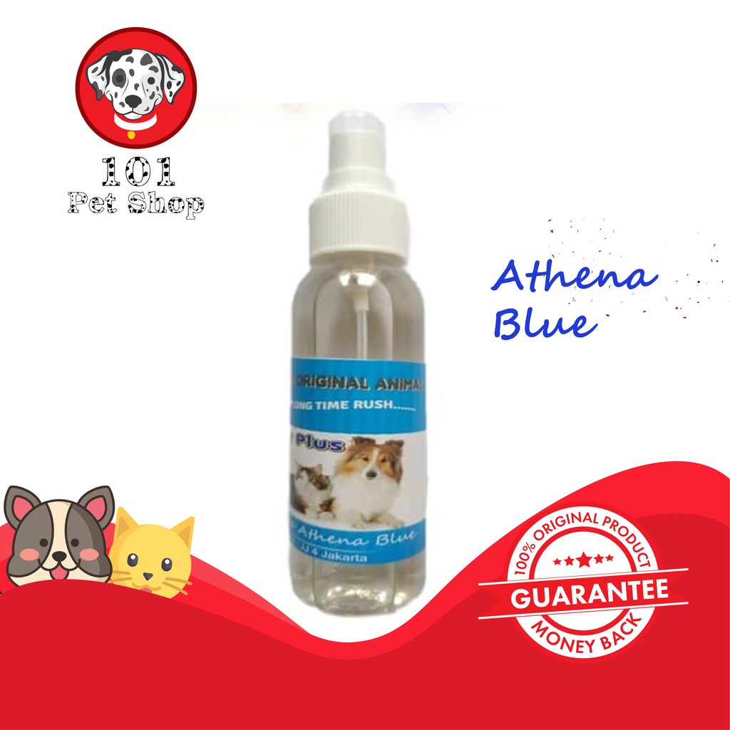 PARFUM KUCING KITTY PLUS ATHENA BLUE 120ML