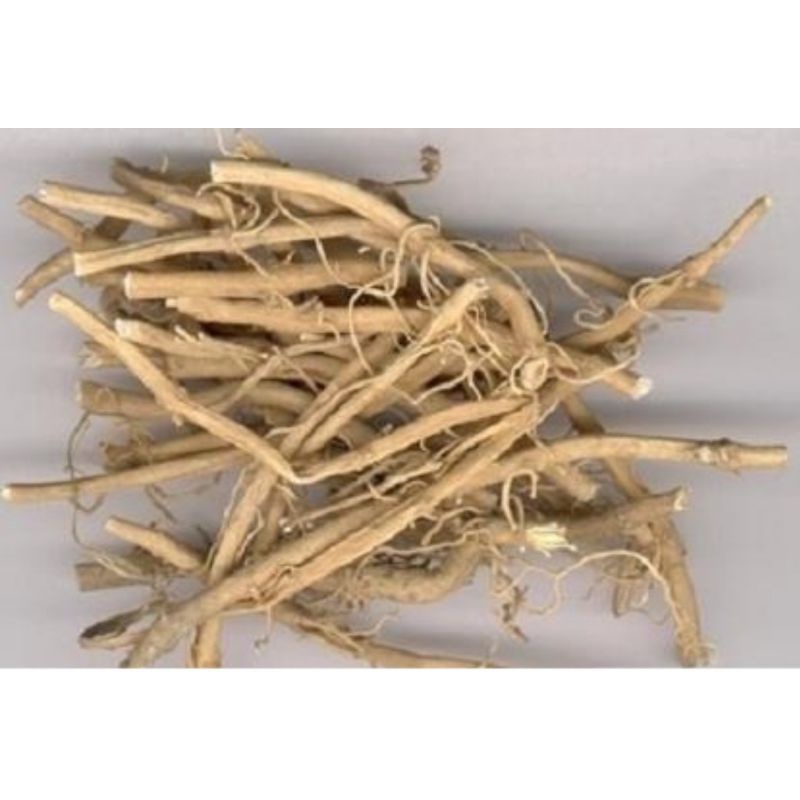 

300 g gr gram Bai Qian / Bai Qian Gen 白前根片 Rhizoma Cynanchi Stauntonii