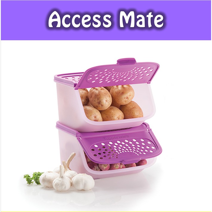 Access Mate Purple (1 Pcs) Tempat Bawang, Kentang Ungu Tupwr