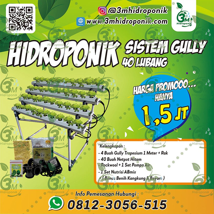PAKET INSTALASI HIDROPONIK SET STARTER KIT 40 LUBANG GULLY TRAPESIUM
