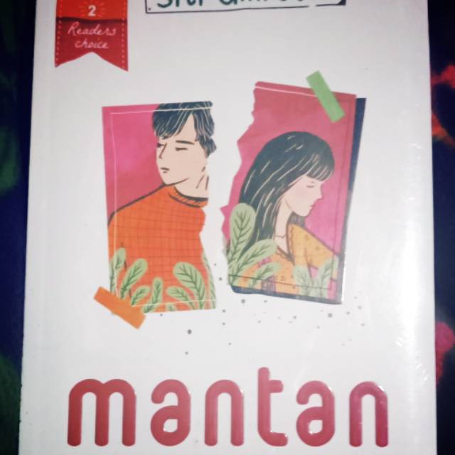Novel mantan