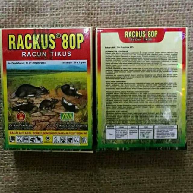 Racun tikus rackus 80P racun tikus tabur