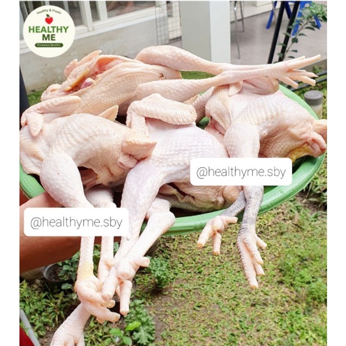 

AYAM KAMPUNG FREE RANGE ORGANIK ASLI 100% (FRESH) GARANSI KUALITAS TOP! KIRIM H+1