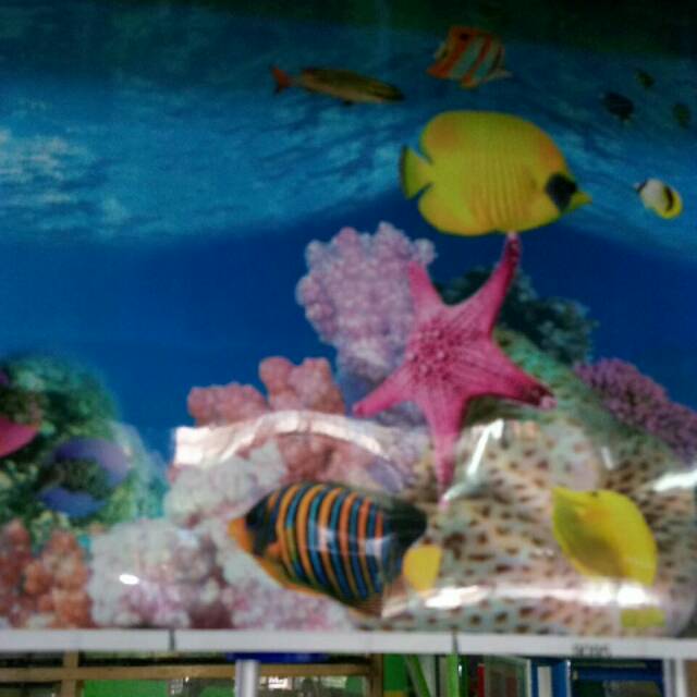 Gambar Aquarium Motif Dan Polos Wallpaper Tinggi 30 40 50 60 Lebar 1m