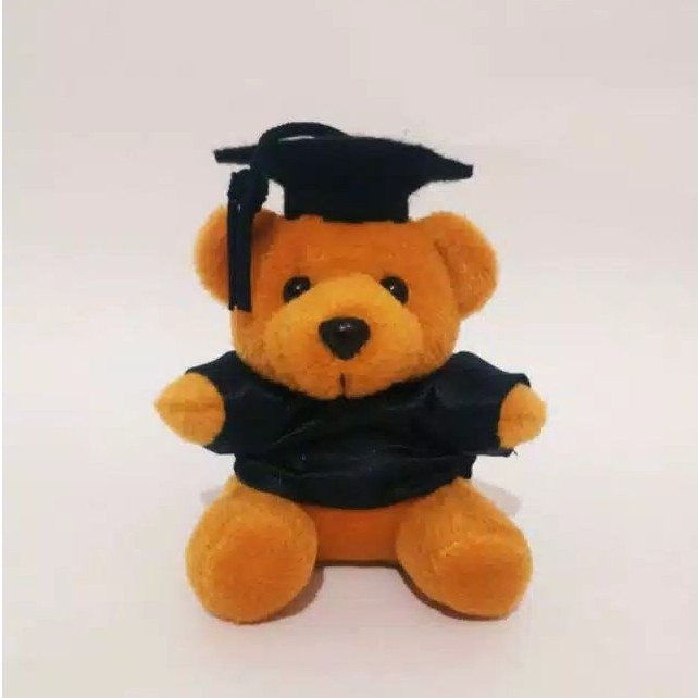 Boneka Teddy Bear Wisuda Kecil Lucu