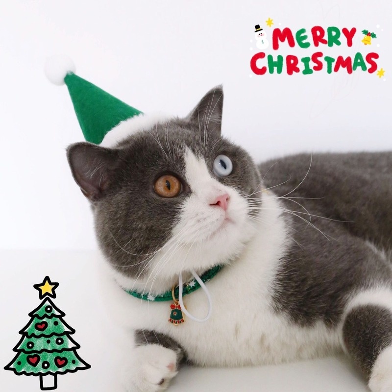 ★〓YUFeiPet〓★ Christmas Pet Hat Cat and Dog Felt Christmas Hat Adjustable Birthday Party Hat