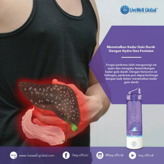 Hydrogen Fontaine - portable PRELOVED - second hand