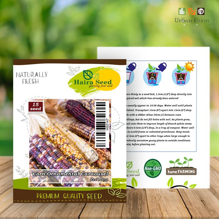 Benih-Bibit Jagung Ornamental Carousel (Haira Seed)