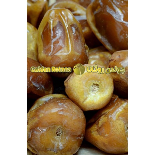 

Kurma