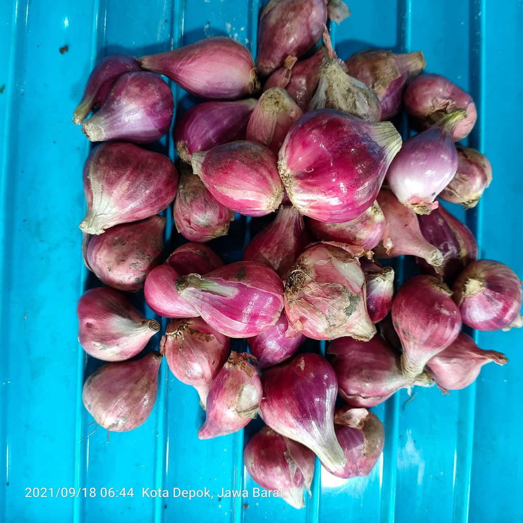 

Bawang Merah Super - Bawang Merah 1/2 Kg - Bawang Merah 1 Kg - 1/4 Kg