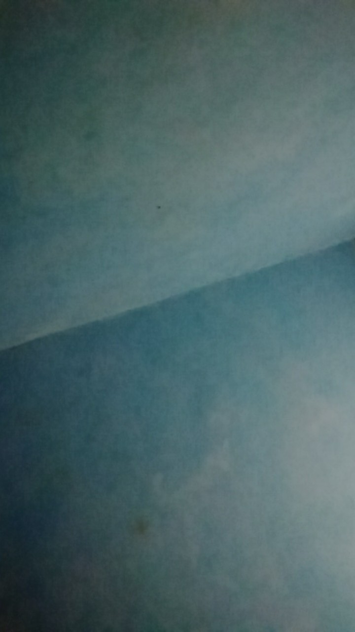 Teko Floral - Ketel Bunyi Siul Stainless Steel - Supra