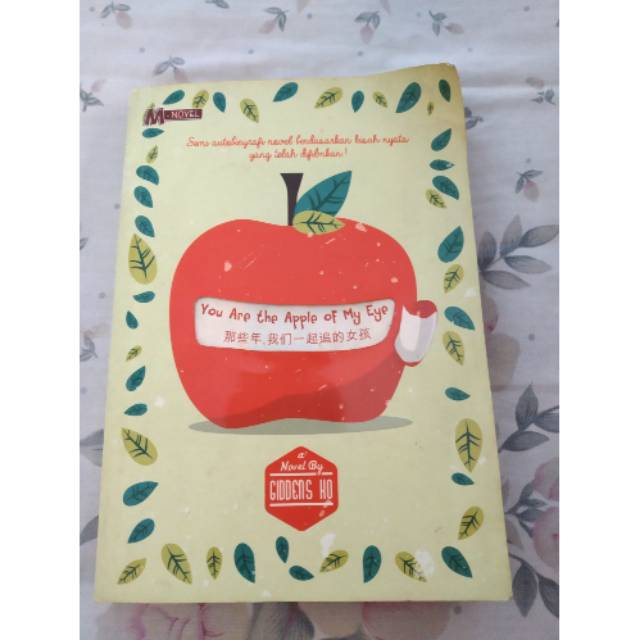 Novel You Are The Apple of My Eye