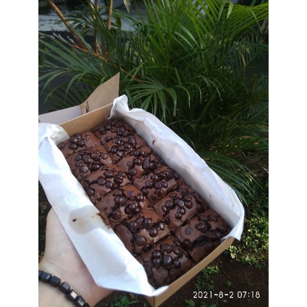 

BROWNIES GLUTEN FREE CHOCOCHIPS