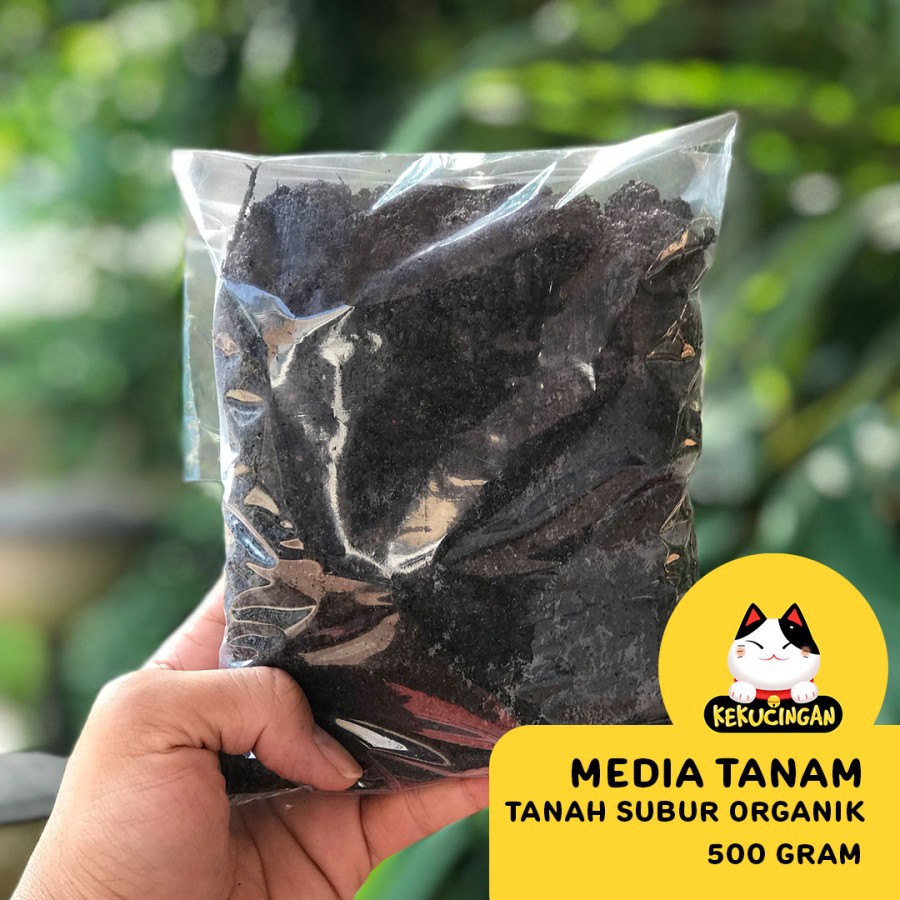 TANAH SUBUR MEDIA TANAM ORGANIK Kekucingan Langsung Tanam Apa Saja Repack 500 gram