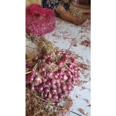 

Bawang Merah Tanggung Besar Super Probolinggo. kemasan 1000 gr