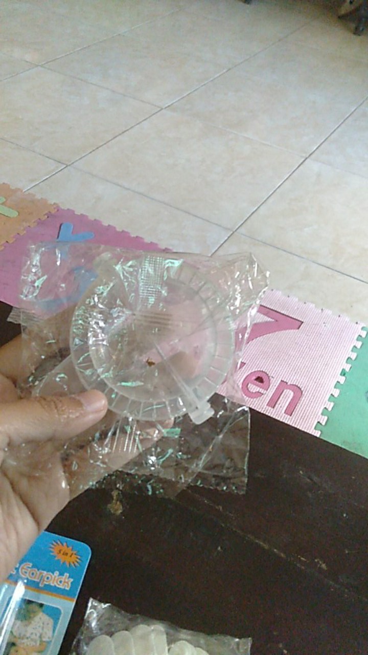 Cetakan Pastel Mini Bening