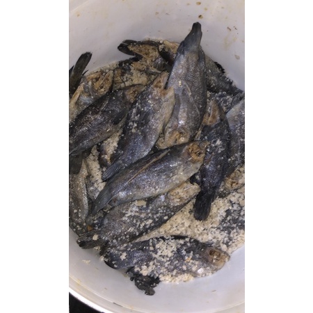

Wadi papuyu sedang berat 500gram