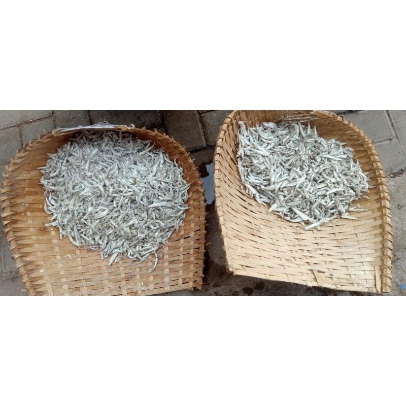

ikan asin teri muda