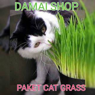 Paket CAT  GRASS Paket Lengkap Rumput Kucing POT  MEDIA 
