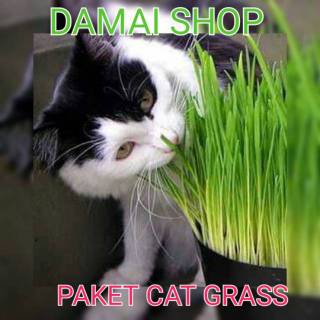 Paket CAT GRASS Paket Lengkap Rumput Kucing POT MEDIA Paket CAT GRASS Paket Lengkap Rumput Kucing POT MEDIA