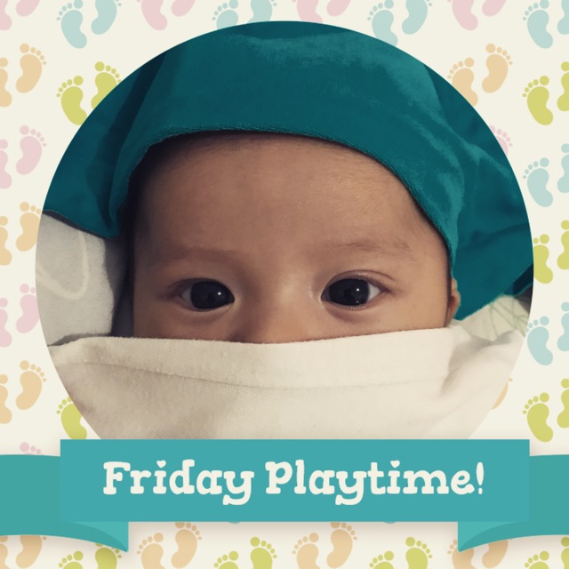 vebrinasarisihombing