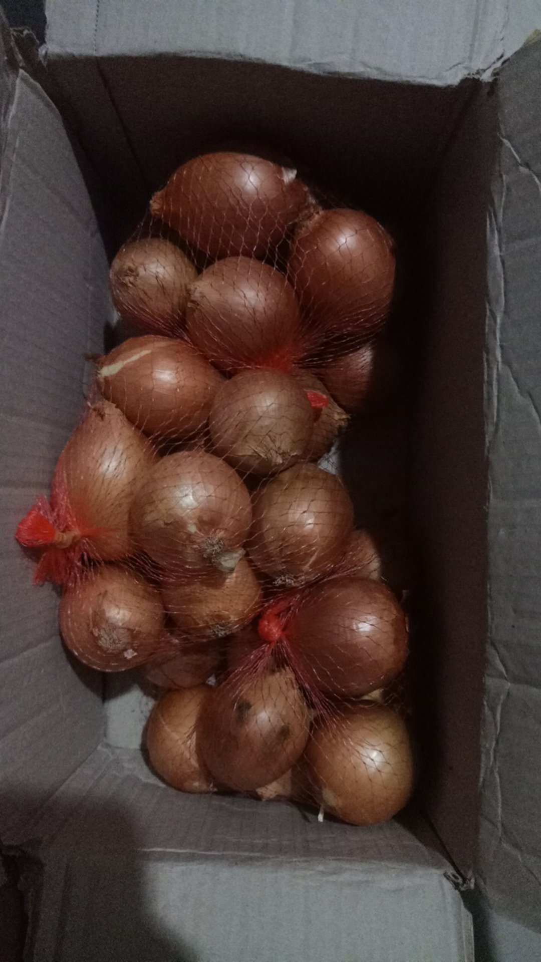 Bawang Bombai/bombay Fresh