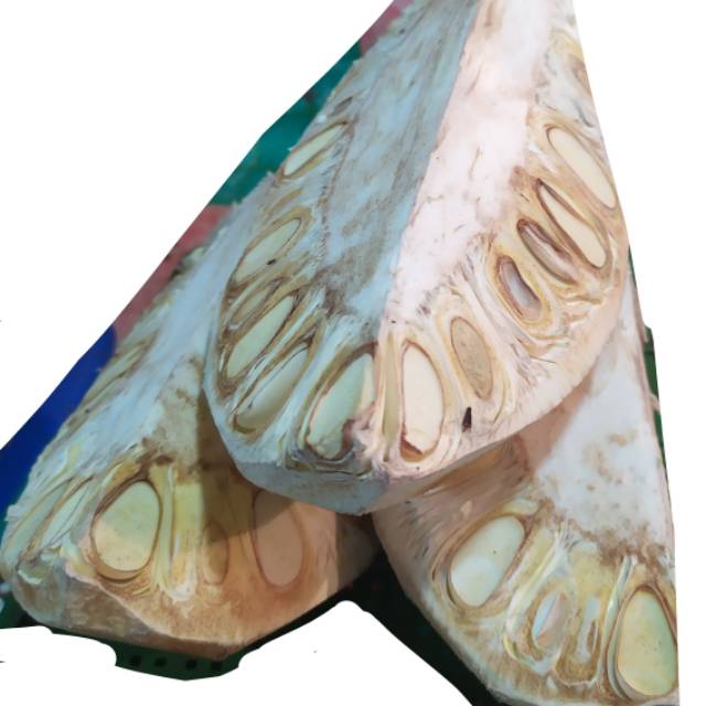 

RB Nangka muda 1 kg