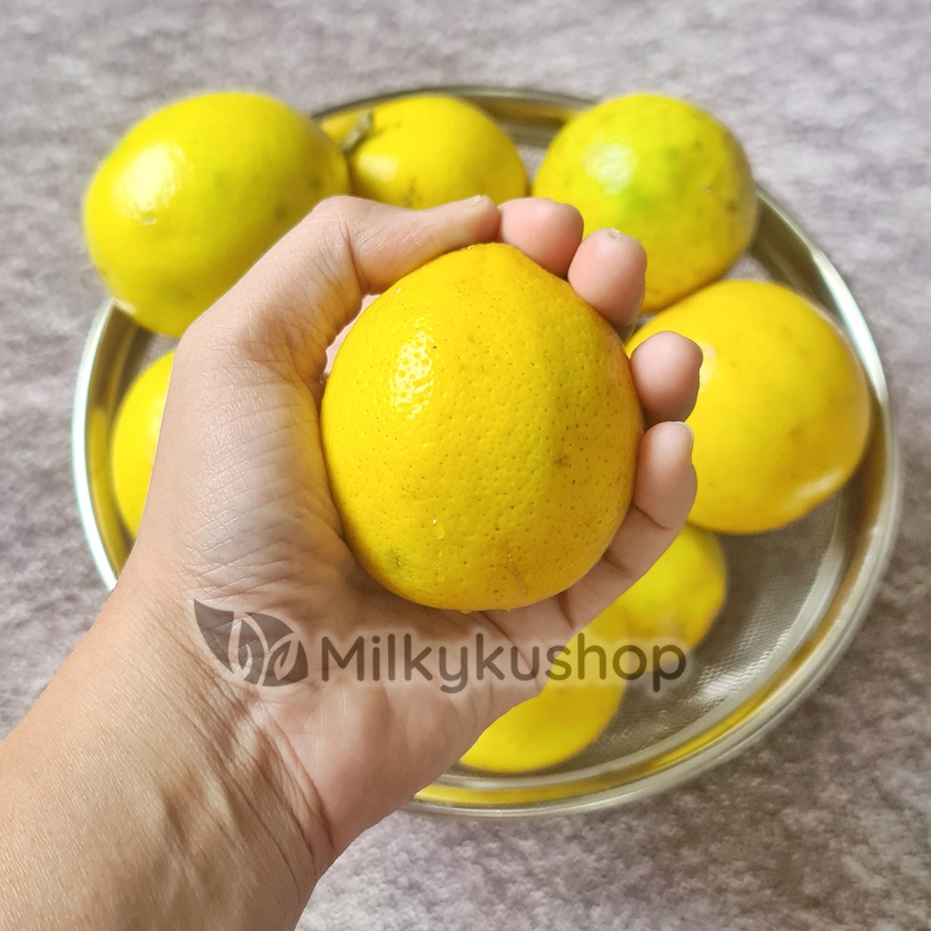 BUAH LEMON CALIFORNIA LOKAL BERAT 1 KG