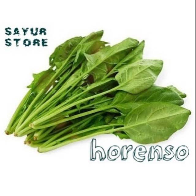 HORENSO