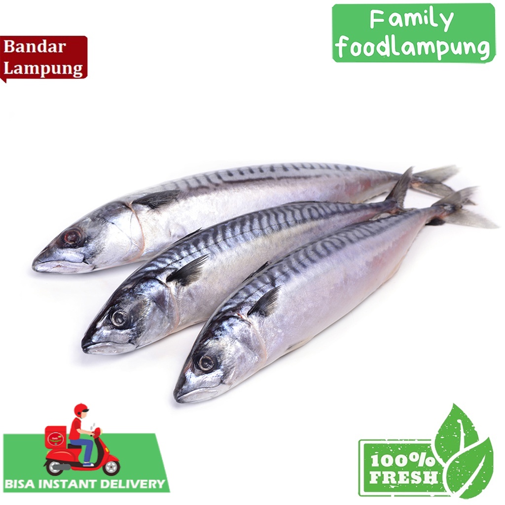 

Family Food Lampung Ikan Laut Sarden Fresh 500 gr *Bisa Instant Delivery*