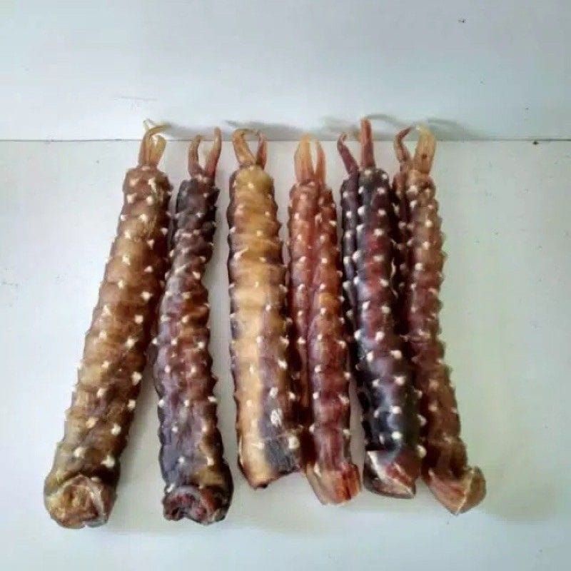 Herbal tangkur buaya kalimantan