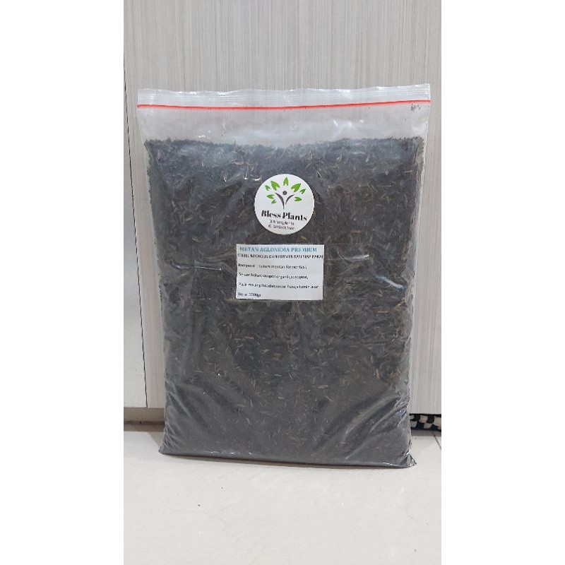 Media Tanam Aglaonema Premium siap pakai 1kg