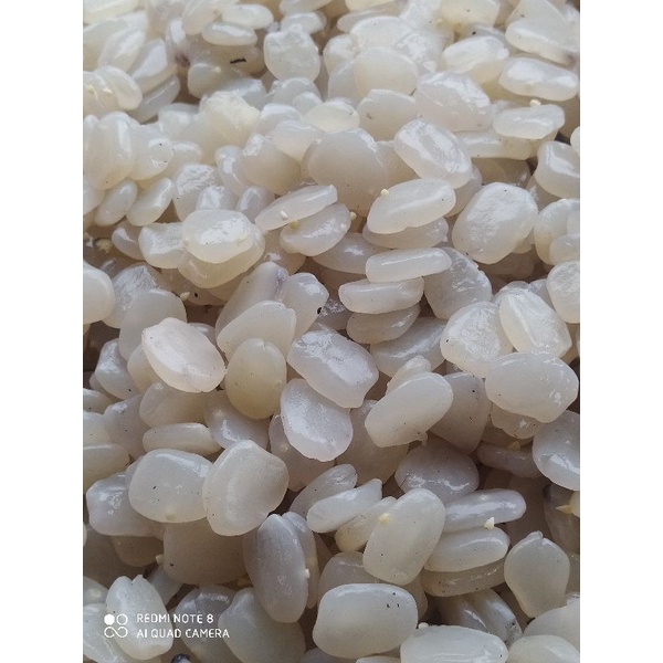 

kolang Kaling super 1kg