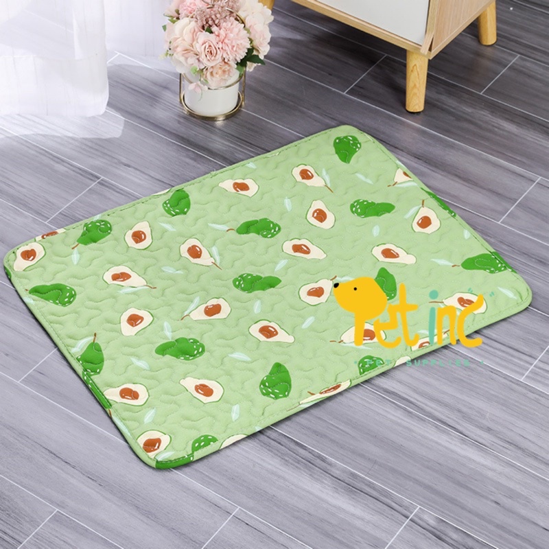 Pawbuddy pet playmat