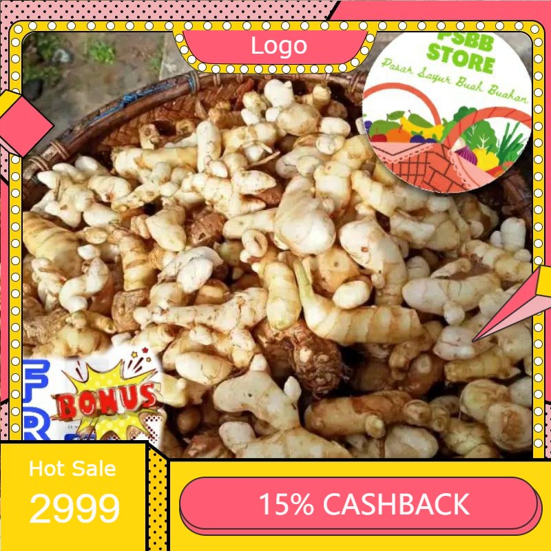 

RENGKEK SURABAYA - Kunir / Kunyit Putih