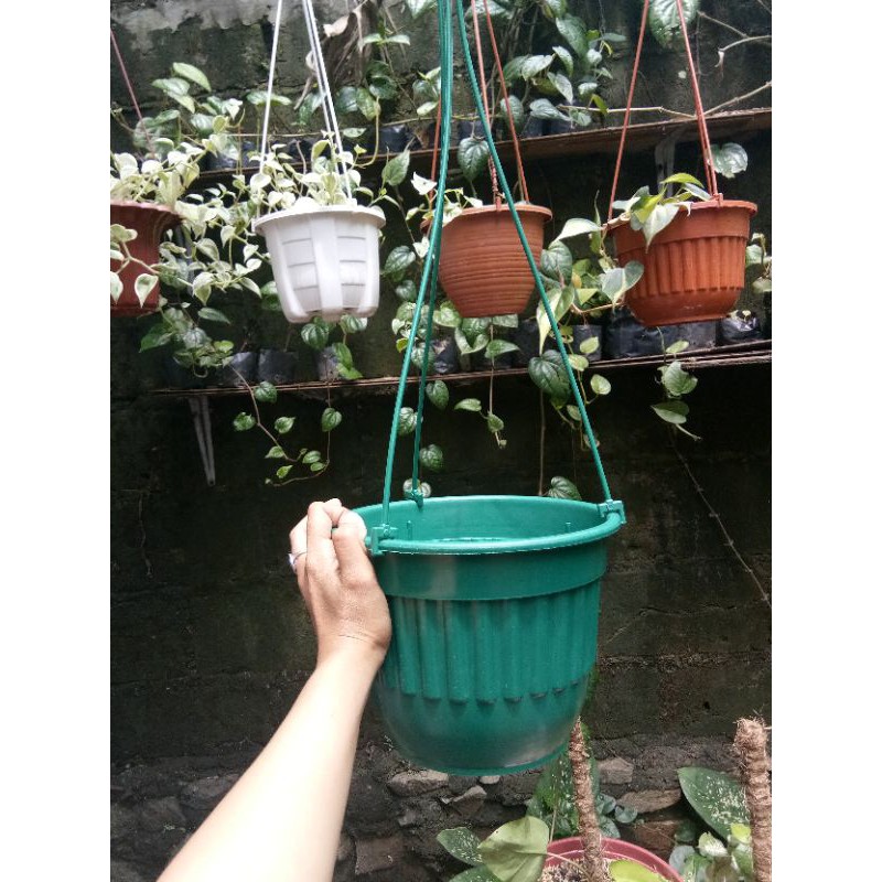 Pot gantung hijau 21cm