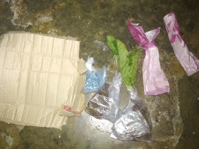 Bibit Hebras Garbera Murah Meriah