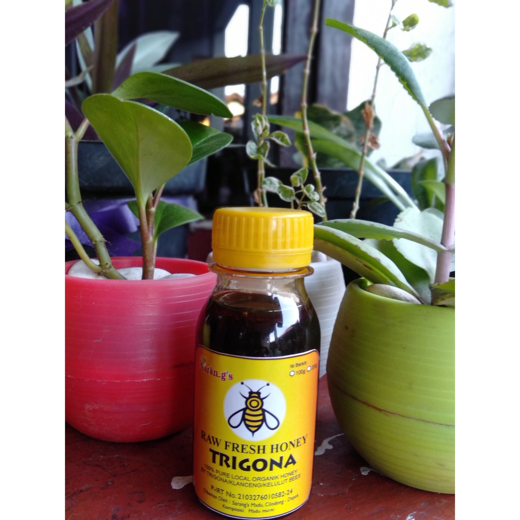

Madu asli klanceng 100 gr