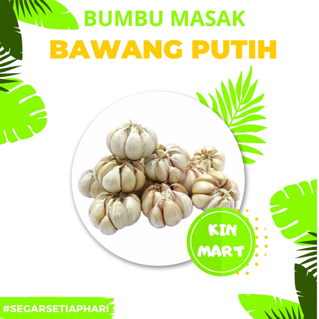 

Bawang Putih Kating