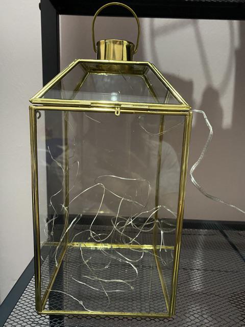 Custom Terrarium Ring Box