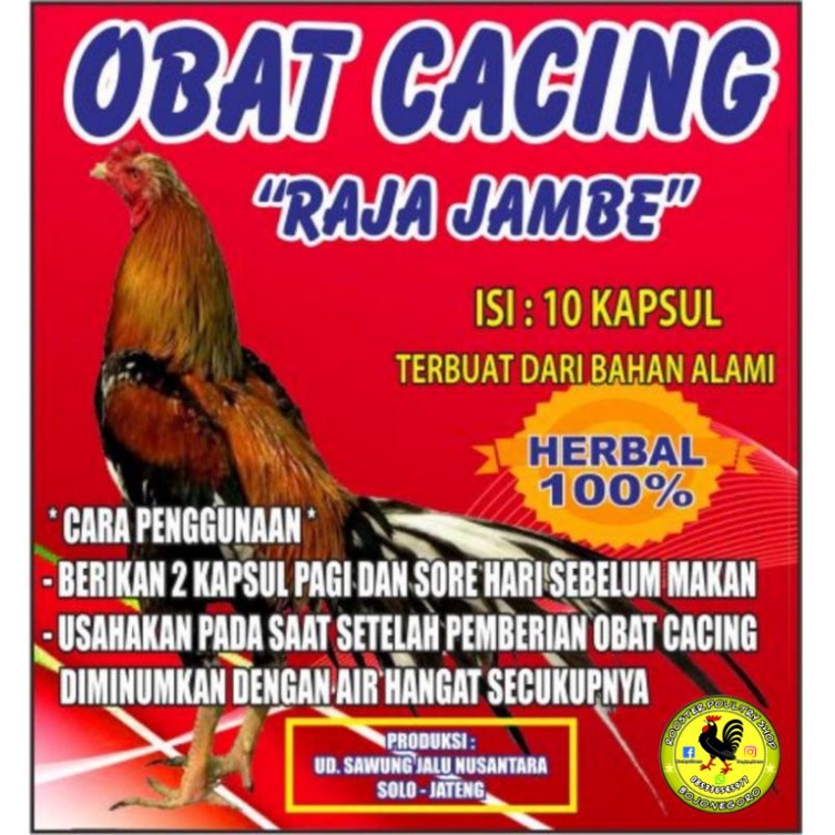 OBAT CACING HERBAL RAJA JAMBE Megatasi masalah cacingan pada Ayam