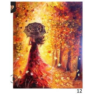 

Diy Painting by Number 40x50cm ( No Frame )