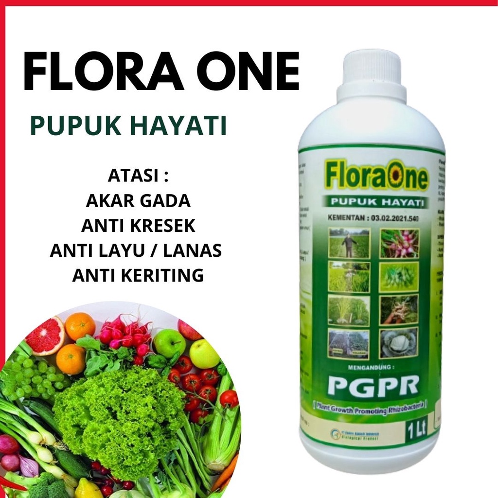 FLORA ONE PUPUK HAYATI Pupuk PGPR Agar Cepat Tumbuh, Rhizobium Sp Mempercepat Pertumbuhan, Cocok Unt
