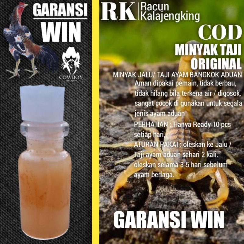 Sabung ayam Bangkok aduan RACUN JALU KALAJENGKING minyak Taji pukulan KO