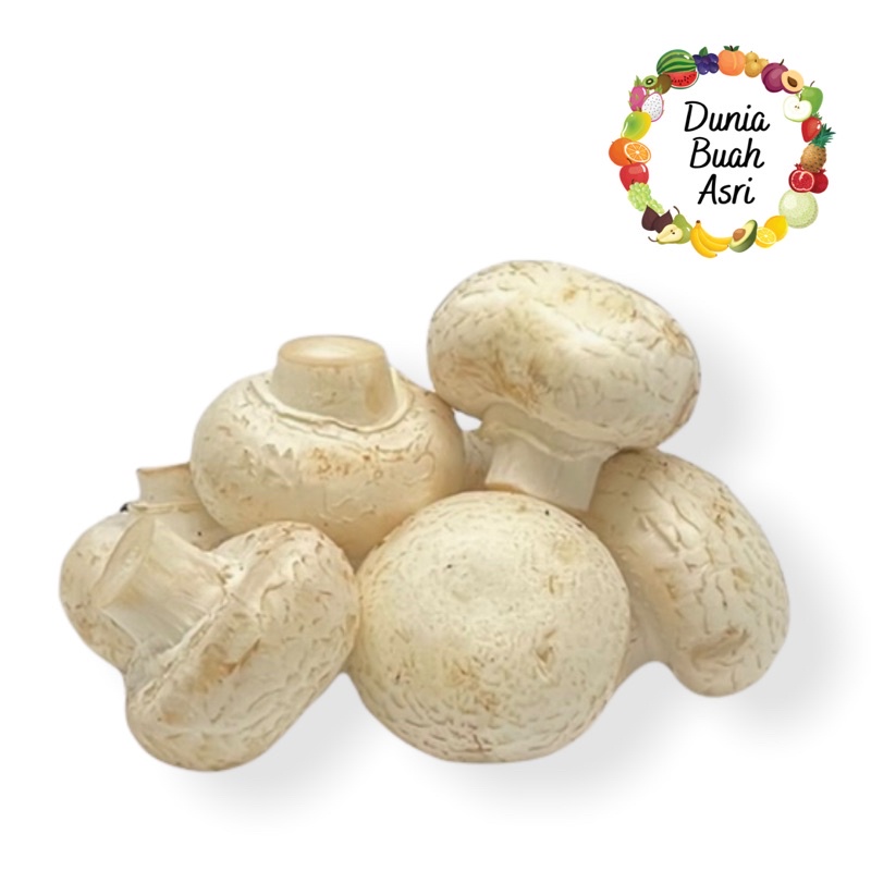 

Jamur Champignon 500 gr