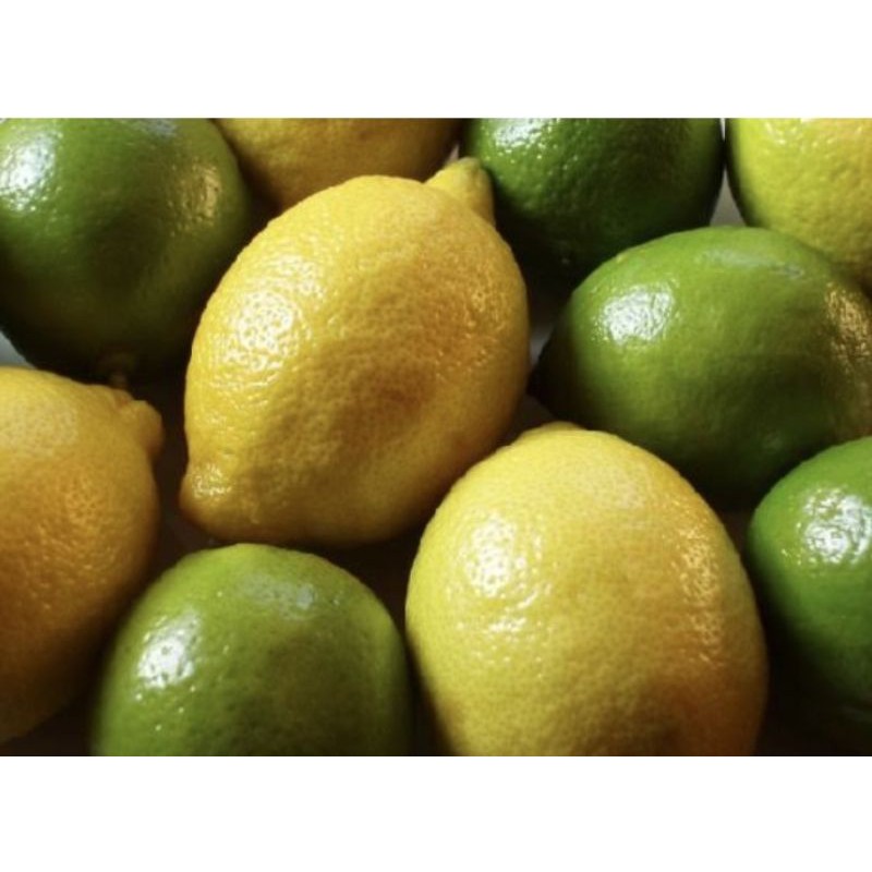 

JERUK LEMON CALIFORNIA