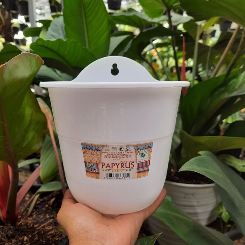 Pot Tempel / Dinding Green Leaf Papyrus 6357 Putih / Pot Bunga