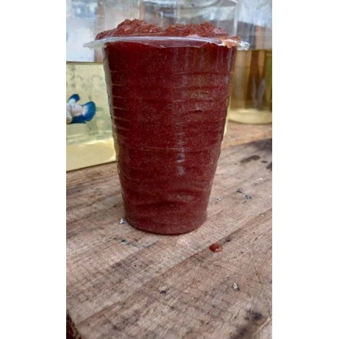 Kutu air fresh 1 gelas aqua untuk ikan berkualitas