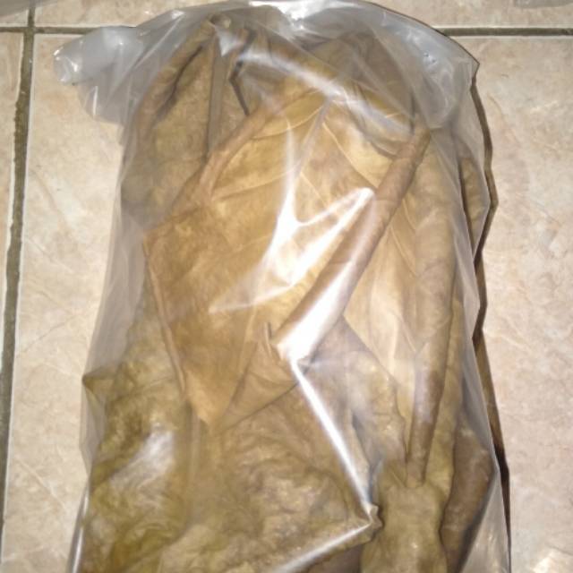 

Daun ketapang kering isi 25 lembar